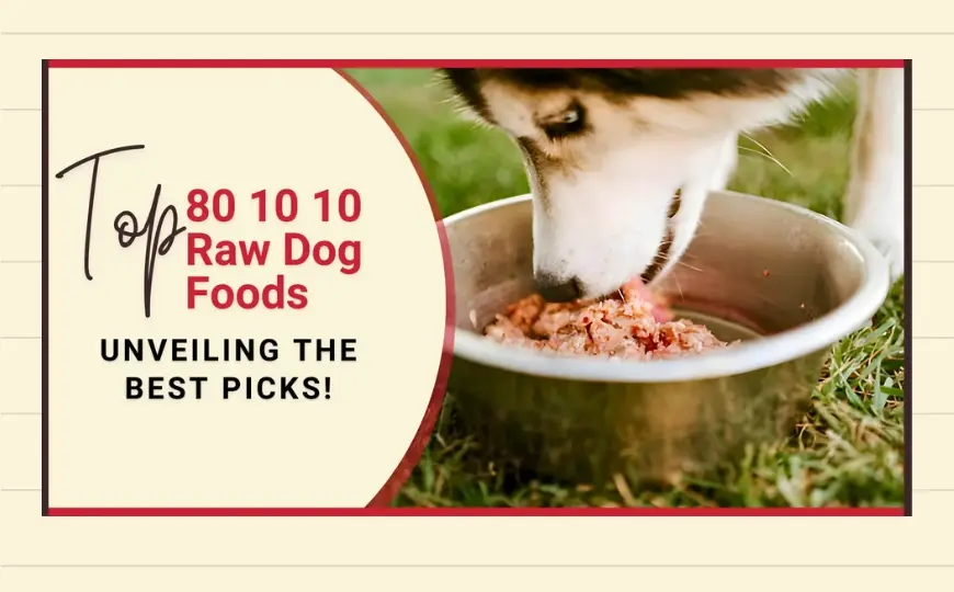 6 Best 80 10 10 Raw Dog Food UK Reviewed And Ranked (2024)